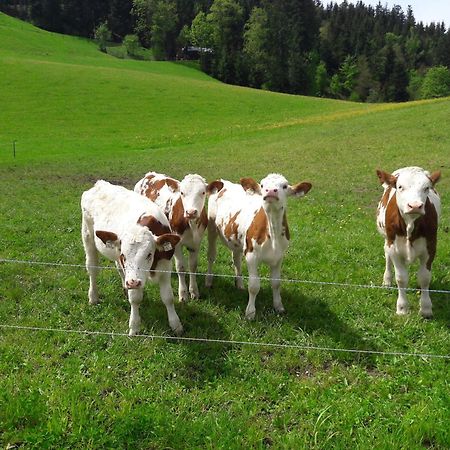 Bio-Bauernhof Niederlehen Villa Fieberbrunn Ngoại thất bức ảnh